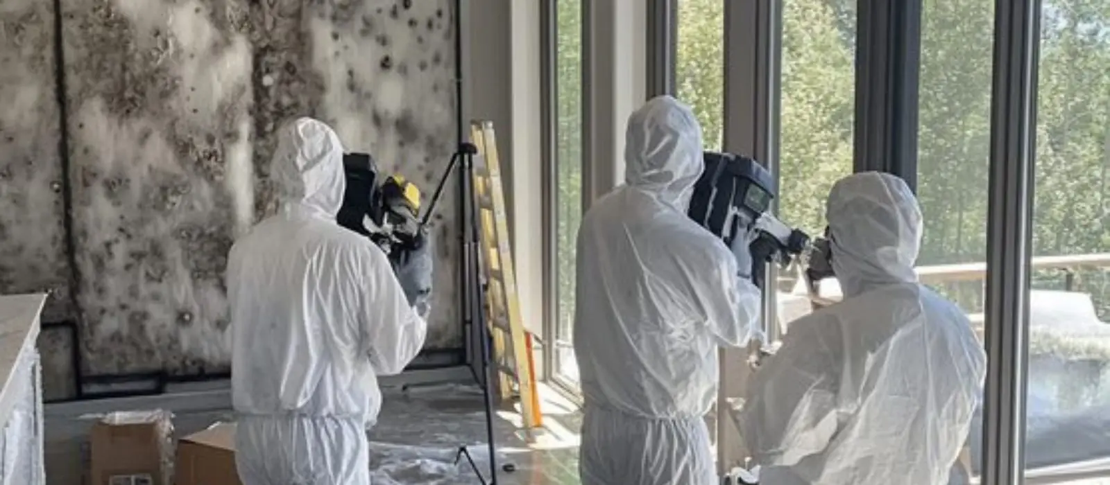 Crew in protective suits documenting mold damage in a containment area