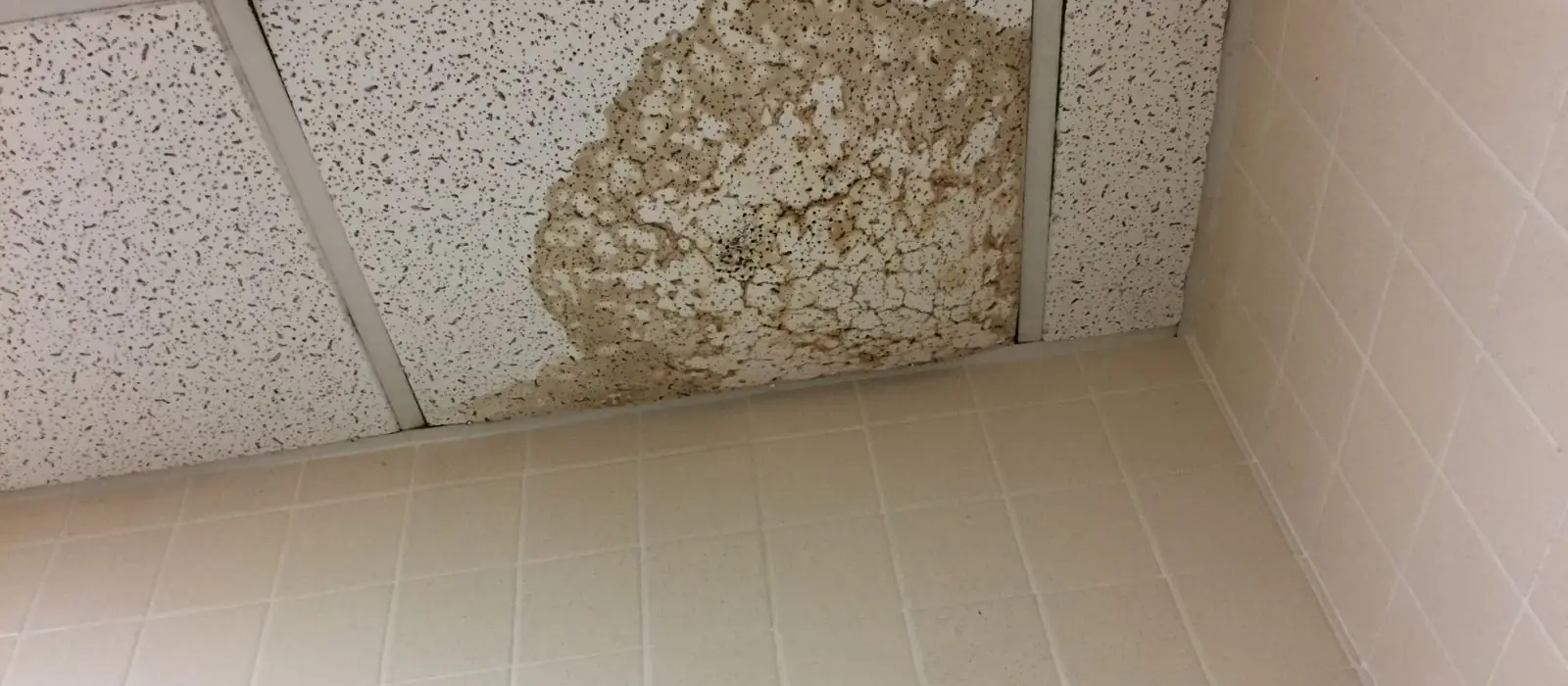 Water stain spreading across a ceiling tile