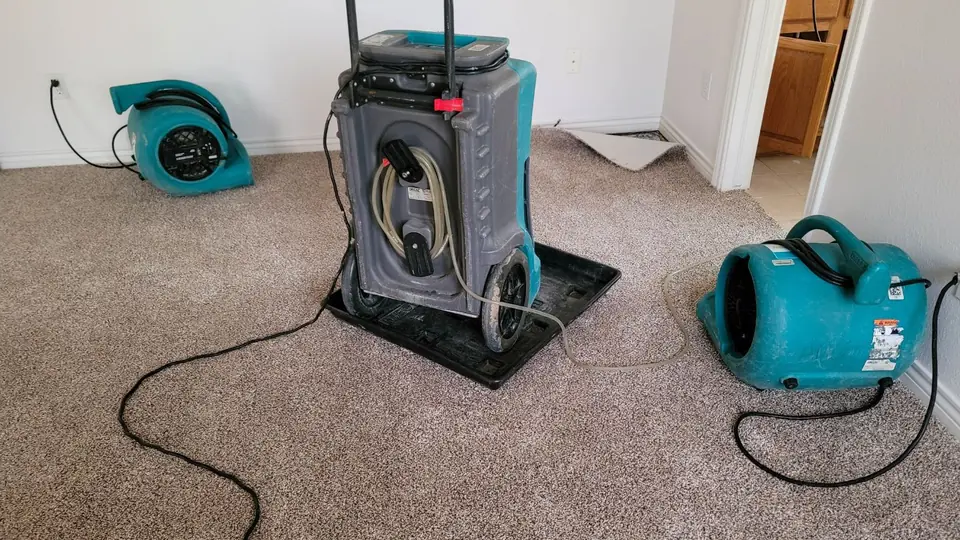 Dehumidifier and air movers set up on carpet for structural drying