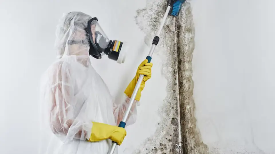 Remediation worker in a respirator treating a wall in containment