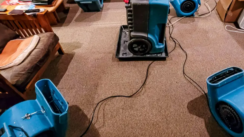 Air movers and a dehumidifier running on a carpeted floor after extraction