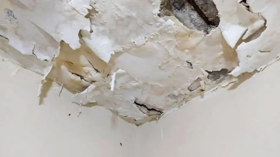 Ceiling with peeling paint and water staining